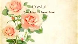 Presentation with vintage rose old paper - Slide deck consisting of vintage-romantic-card-with-old background and a cream colored foreground