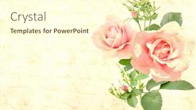  Presentation with vintage rose old paper - PPT theme featuring vintage-romantic-card-with-old background and a cream colored foreground