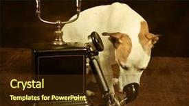  Presentation with noise - Cool new presentation with vintage sepia photo with a jack russel dog and an antique telephone - cracks and noise added for vintage effect backdrop and a tawny brown colored foreground