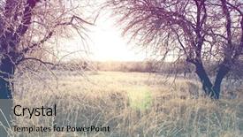  Presentation with soft colors - PPT theme enhanced with vintage soft light toning effect background and a mint green colored foreground