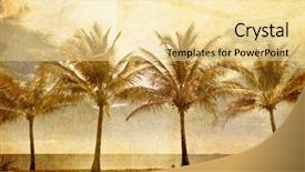  Presentation with retro - Slides featuring vintage travel - reflections of palms background and a blonde colored foreground