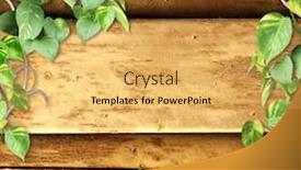  Presentation with liana - Audience pleasing presentation theme consisting of vintage-wooden-board-with-liana backdrop and a yellow colored foreground