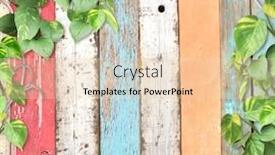  Presentation with liana - Slides consisting of vintage-wooden-board-with-liana background and a lemonade colored foreground