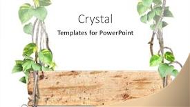  Presentation with liana - Beautiful presentation design featuring vintage-wooden-board-with-liana backdrop and a white colored foreground