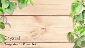  Presentation with liana - Amazing slides having vintage-wooden-board-with-liana backdrop and a lemonade colored foreground