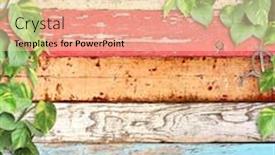  Presentation with liana - Colorful presentation design enhanced with vintage-wooden-board-with-liana backdrop and a lemonade colored foreground