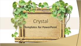  Presentation with liana - Theme with vintage-wooden-frame-with-liana background and a yellow colored foreground