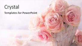  Presentation with pink roses - Presentation theme with vintage wooden table shabby chic background and a pink colored foreground