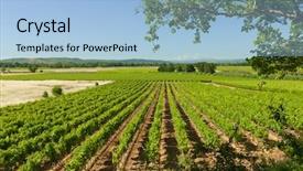  Presentation with agriculture - PPT theme enhanced with roll of duct tape background and a white colored foreground