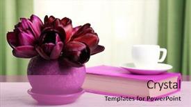  Presentation with tulips - PPT layouts with violet books - beautiful tulips in pot background and a coral colored foreground