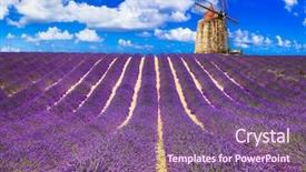  Presentation with lavander - Theme featuring violet fields of blooming lavander background and a  colored foreground