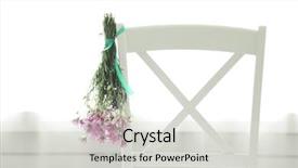  Presentation with wild flower in field of daisies - Slides having violet mint - bouquet of wild flowers drying background and a  colored foreground