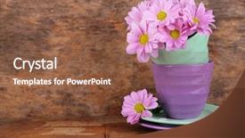  Presentation with flowers - Presentation with violet mint - cups and saucers with flowers background and a tawny brown colored foreground