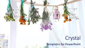  Presentation with herbs - Amazing slide deck having violet mint - various herbs and flowers drying backdrop and a  colored foreground