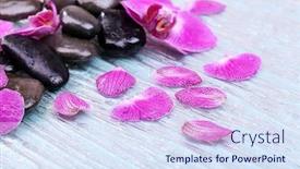  Presentation with zen - Cool new presentation design with violet orchid and zen stones close-up backdrop and a sky blue colored foreground