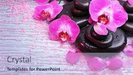  Presentation with zen - Beautiful PPT theme featuring violet orchid and zen stones close-up backdrop and a light blue colored foreground