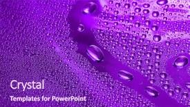  Presentation with water drop - Colorful slides enhanced with violet water drop for background backdrop and a  colored foreground