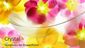  Presentation with pink petal flower animated - Audience pleasing PPT theme consisting of violet yellow - colorful flower petals with feather backdrop and a yellow colored foreground