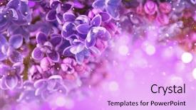  Presentation with flower watercolor - Beautiful presentation theme featuring violets - lilac flowers bunch violet art backdrop and a lavender colored foreground