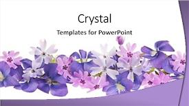  Presentation with moss - Cool new PPT theme with violets and moss pink flowers backdrop and a white colored foreground