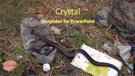  Presentation with environmental - PPT layouts enhanced with viper-snake-in-trush-environmental background and a tawny brown colored foreground
