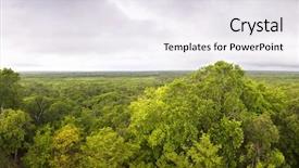  Presentation with forest - Amazing slide set having virgin forest of ek balam yucatan mexico backdrop and a sky blue colored foreground
