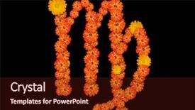  Presentation with zodiac virgo - PPT theme having virgo sign of the zodiac background and a wine colored foreground