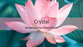  Presentation with lotus flower - Colorful presentation theme enhanced with virtud - blooming lotus flower backdrop and a lemonade colored foreground