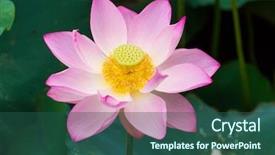  Presentation with lotus flower - Slides featuring virtud - lotus flower and lotus flower background and a ocean colored foreground