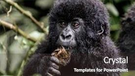  Presentation with africa - PPT layouts featuring virunga national park africa background and a wine colored foreground