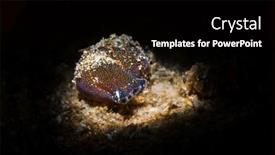  Presentation with snail - Cool new slide deck with viscous-underwater-nudibranch-snail-crawls backdrop and a black colored foreground