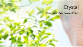  Presentation with eyesight - Presentation theme with vision eyesight and old people background and a soft green colored foreground