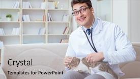  Presentation with dog and cat health - Colorful presentation design enhanced with visiting vet for regular checkup backdrop and a light gray colored foreground