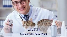  Presentation with vet - Cool new PPT theme with visiting vet for regular checkup backdrop and a  colored foreground