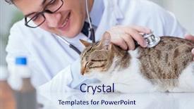  Presentation with dog and cat health - Presentation design featuring visiting vet for regular checkup background and a  colored foreground