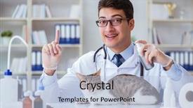  Presentation with dog cat stethescope - Slide deck with visiting vet for regular checkup background and a light blue colored foreground