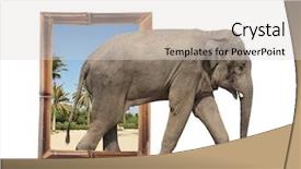  Presentation with elephant maximus - Cool new theme with visual effects - elephant elephas maximus in bamboo backdrop and a light gray colored foreground