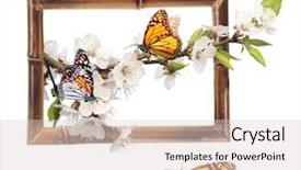  Presentation with monarch butterflies - Slides having visual effects - flowers of cherry and monarch background and a lemonade colored foreground