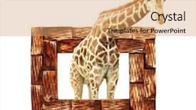  Presentation with rustic wood wooden frame - Audience pleasing PPT theme consisting of visual effects - giraffe in wooden frame backdrop and a coral colored foreground