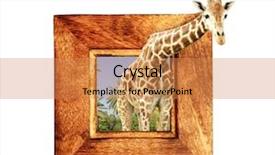 Presentation with effect - Beautiful slide deck featuring visual effects - giraffe in wooden frame backdrop and a coral colored foreground