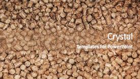  Presentation with livestock - Presentation design featuring vitamin livestock - pelleted compound feed background background and a coral colored foreground