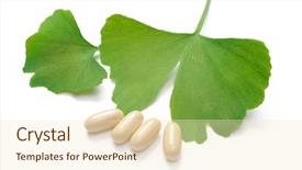  Presentation with ginkgo - Amazing slide deck having vitamin supplements capsules and fresh backdrop and a cream colored foreground