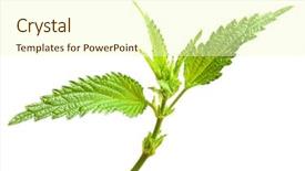  Presentation with anemia - Colorful PPT layouts enhanced with vitamins a c iron backdrop and a cream colored foreground