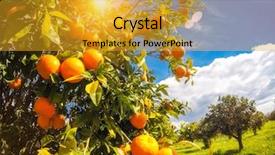  Presentation with sky sun - Colorful slide set enhanced with vitamins sun - fantastic views of the garden backdrop and a gold colored foreground