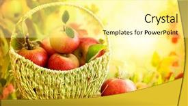 Presentation with guava fruits fresh green fruit - Audience pleasing PPT theme consisting of vitamins sun - fresh ripe red apples backdrop and a blonde colored foreground