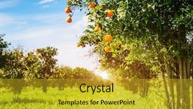  Presentation with springtime - Colorful PPT theme enhanced with vitamins sun - impressive view of green garden backdrop and a gold colored foreground