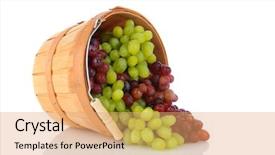  Presentation with spilling - PPT theme enhanced with vitis - basket of grapes laying background and a coral colored foreground