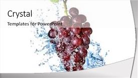  Presentation with blue water splash isolated - Colorful presentation theme enhanced with vitis - blue grape with water splash backdrop and a white colored foreground