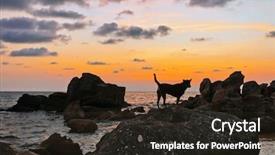  Presentation with sunset beach - Colorful PPT theme enhanced with vitnam - dogs walking at stones backdrop and a tawny brown colored foreground