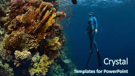  Presentation with sea coral - Colorful slide deck enhanced with vivid coral reefs red sea backdrop and a navy blue colored foreground